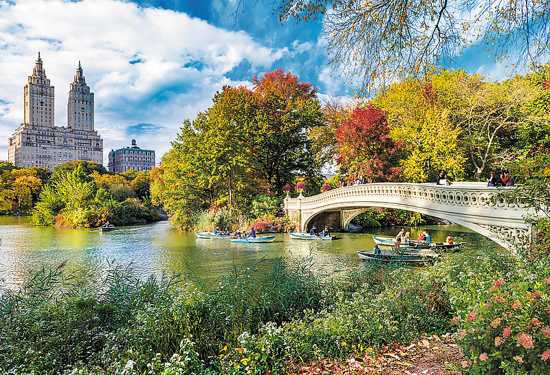 Central park NY - UFT premium