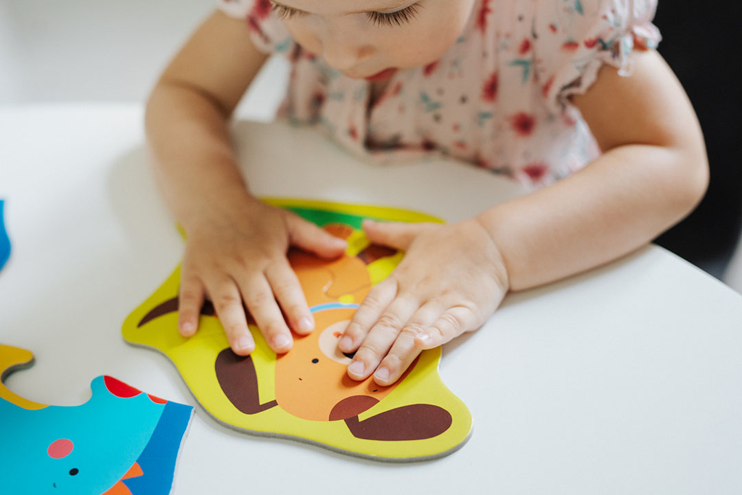 Zanimanja, moje prve puzzle | 22 komada