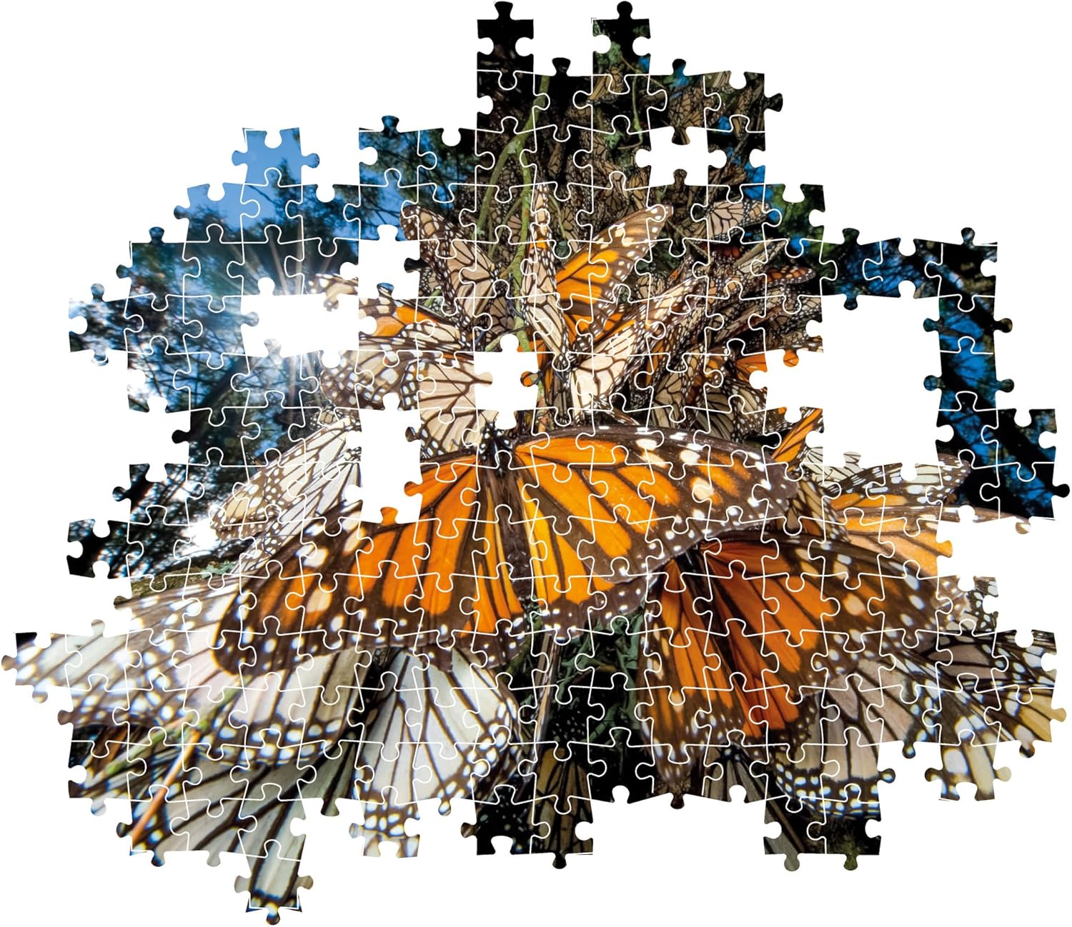 Monarch Leptir - NOVO